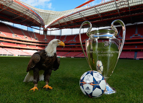 王燊超：只要我还能跑得动，还能做出贡献，我就会奉献出全部（王燊超：只要跑得动、帮得上，我就会全力以赴）